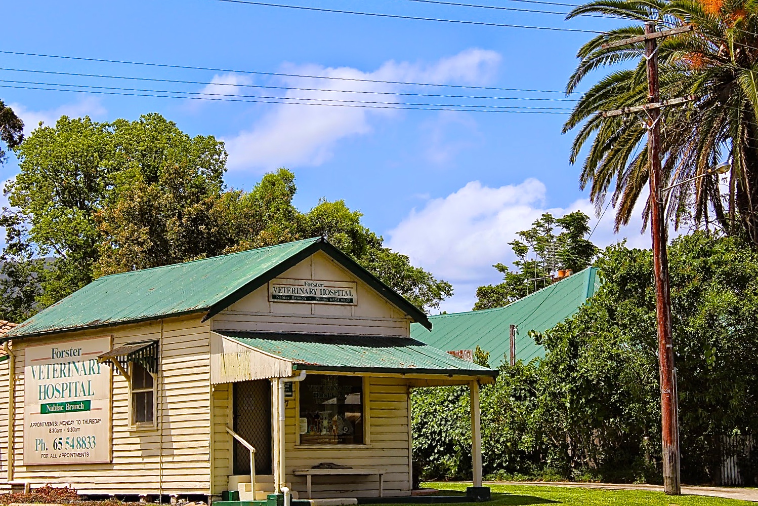 Forster Veterinary Hospital
