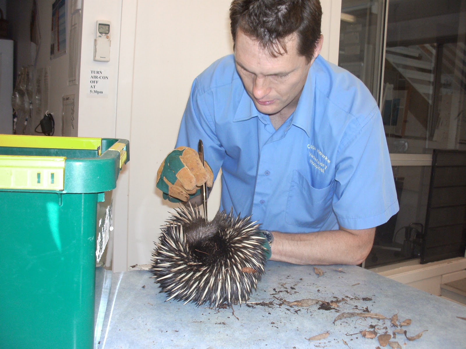 Cape Hawke Veterinary Hospital