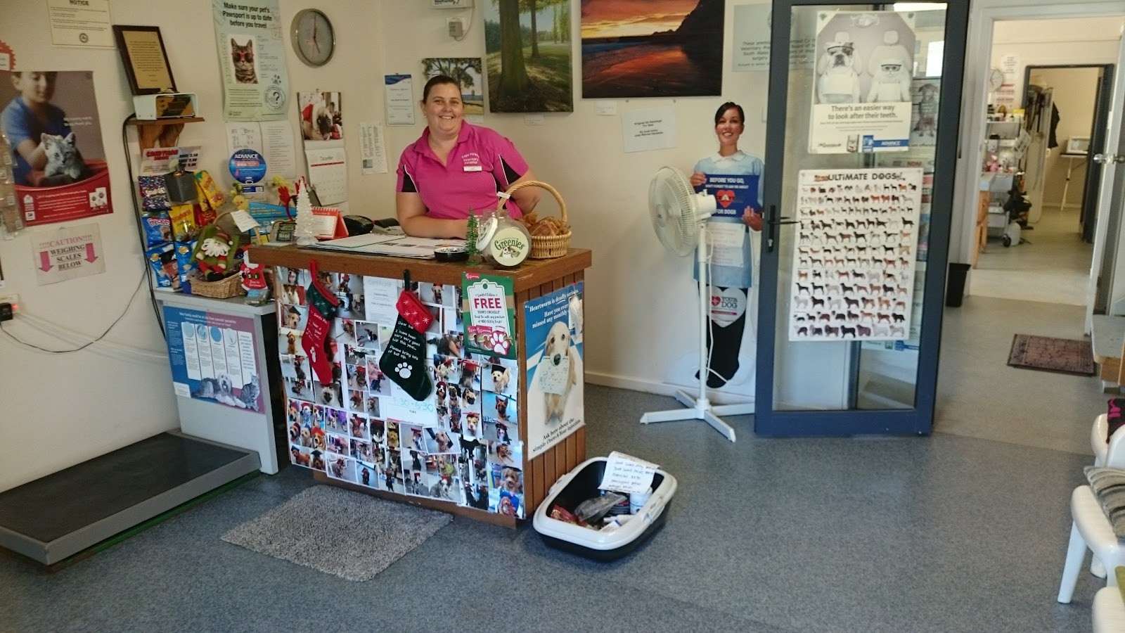 Cape Hawke Veterinary Hospital
