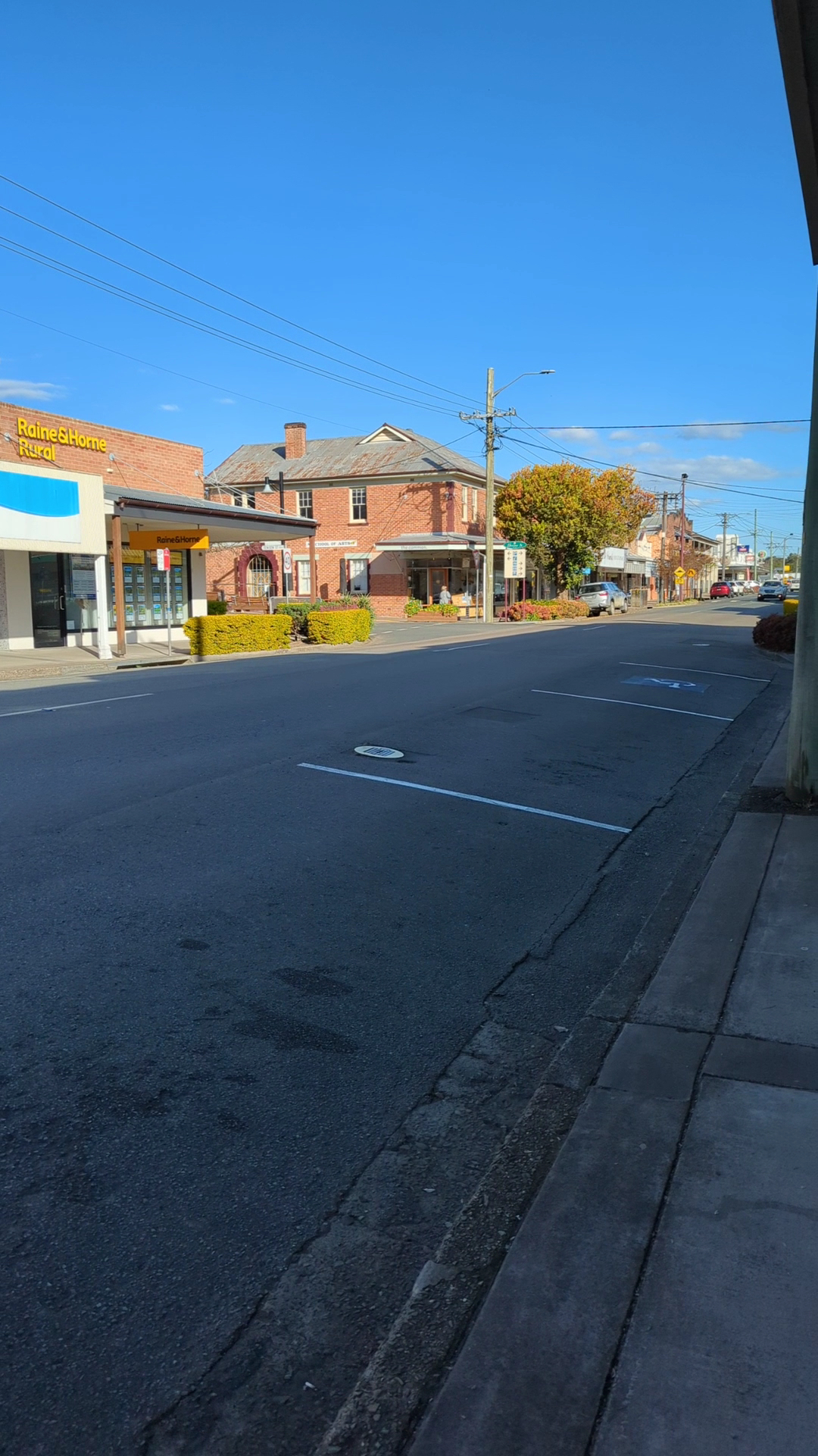 Gloucester Pharmacy — Pet Groomers