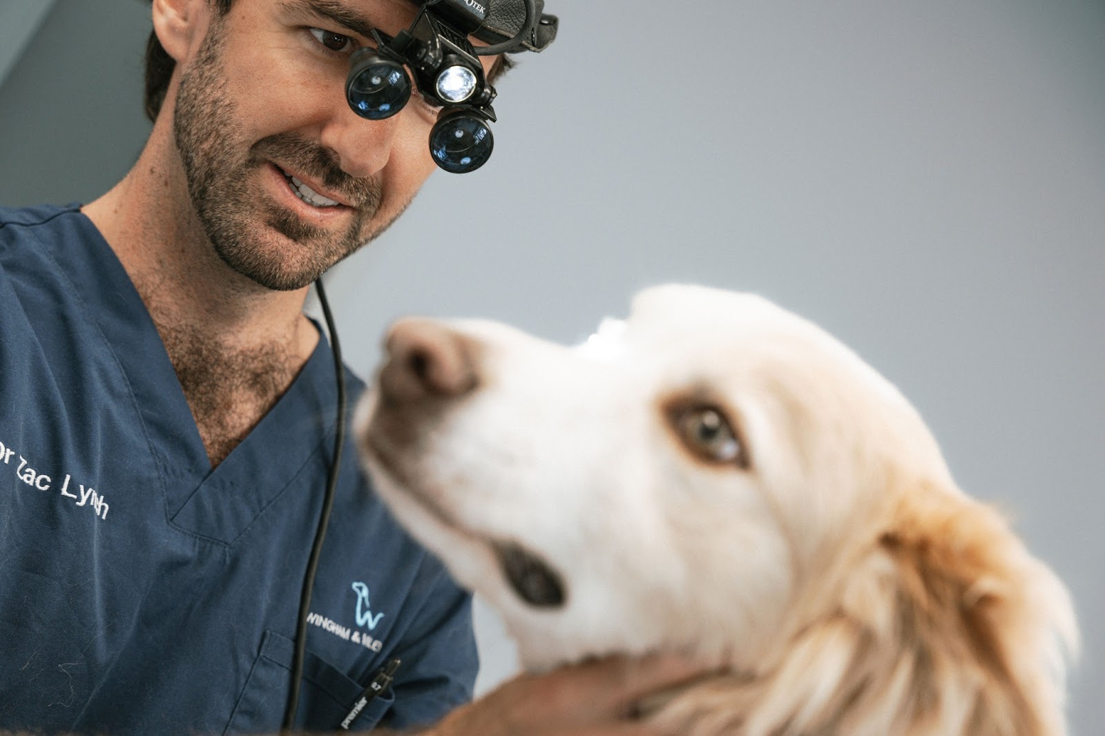 Wingham and Valley Vets — Pet Groomers