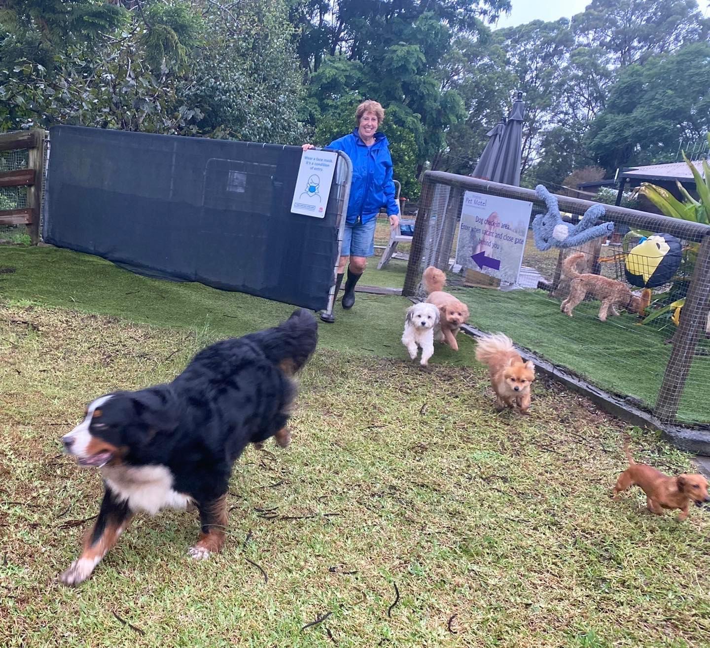 Wingham Pet Motel