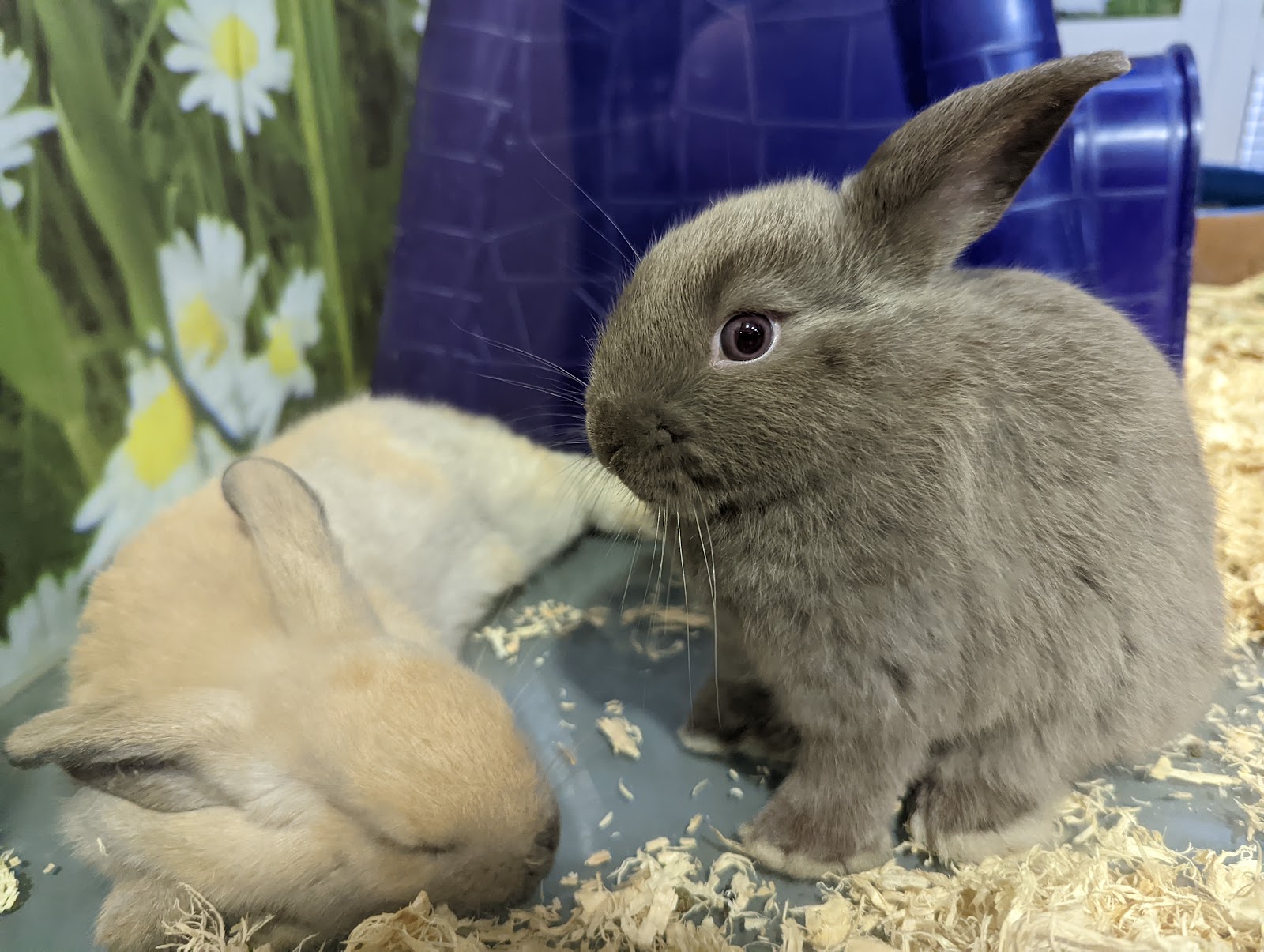 Taree Pet Barn