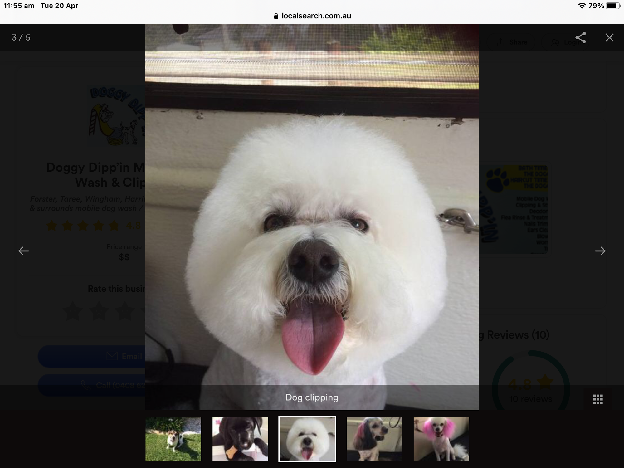 Doggy Dippin Mobile Dog Wash & Grooming