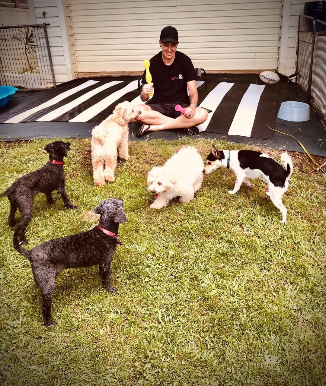 The Small Dog Daycare