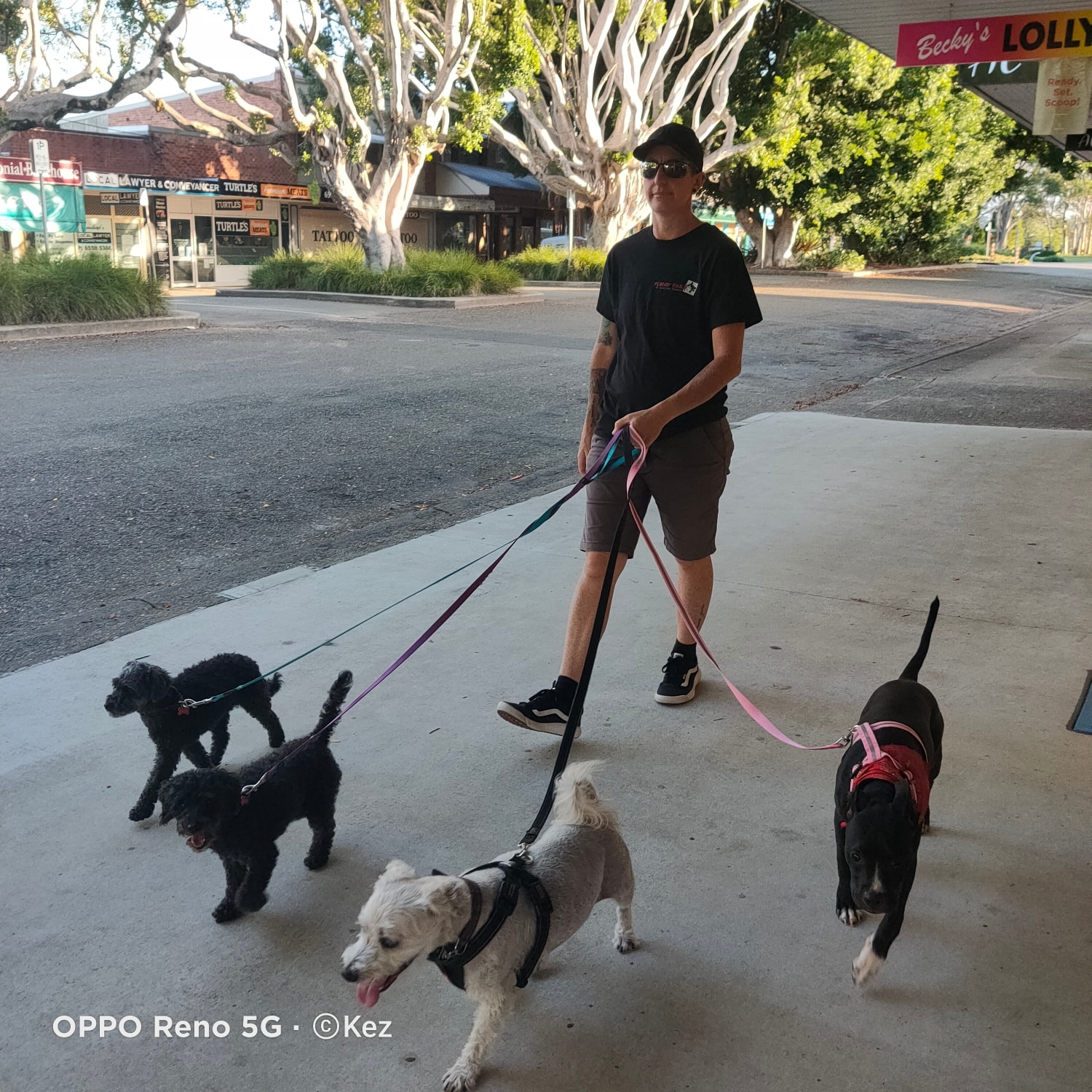 The Small Dog Daycare