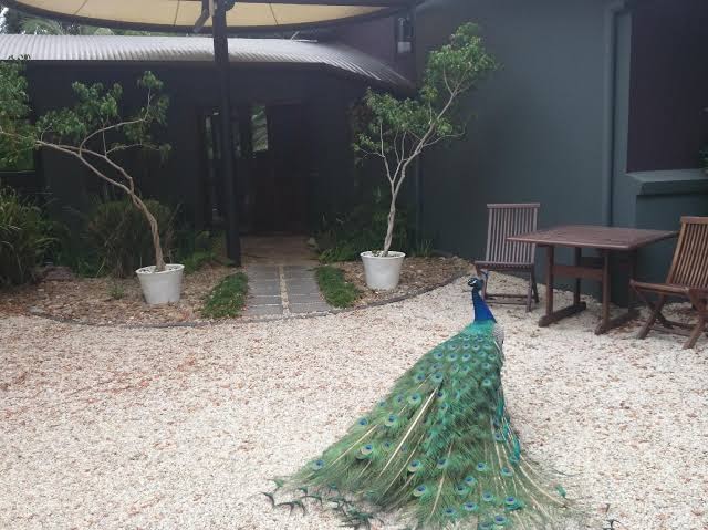 Azabu Retreat & Spa