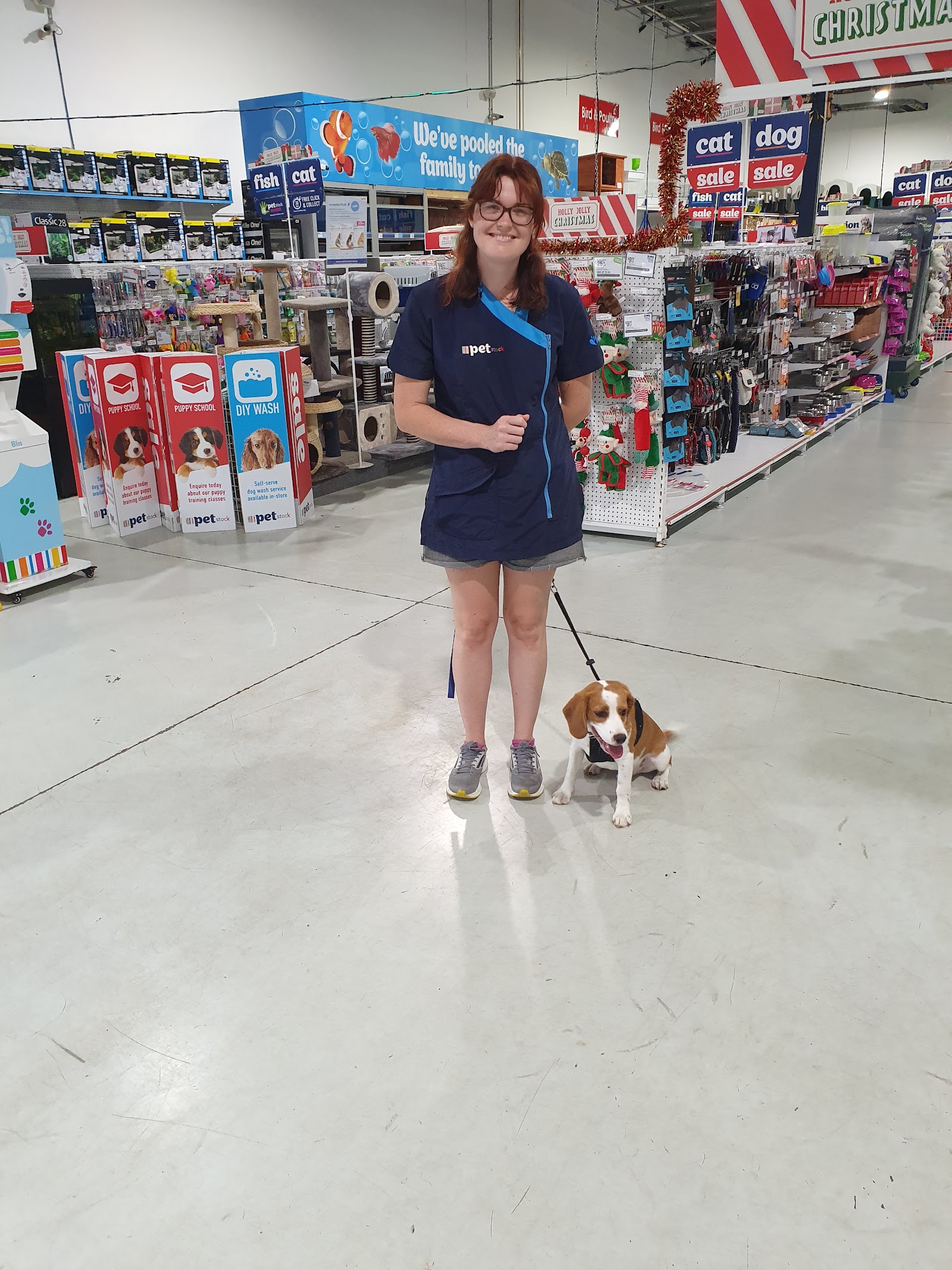 Petstock Ballina