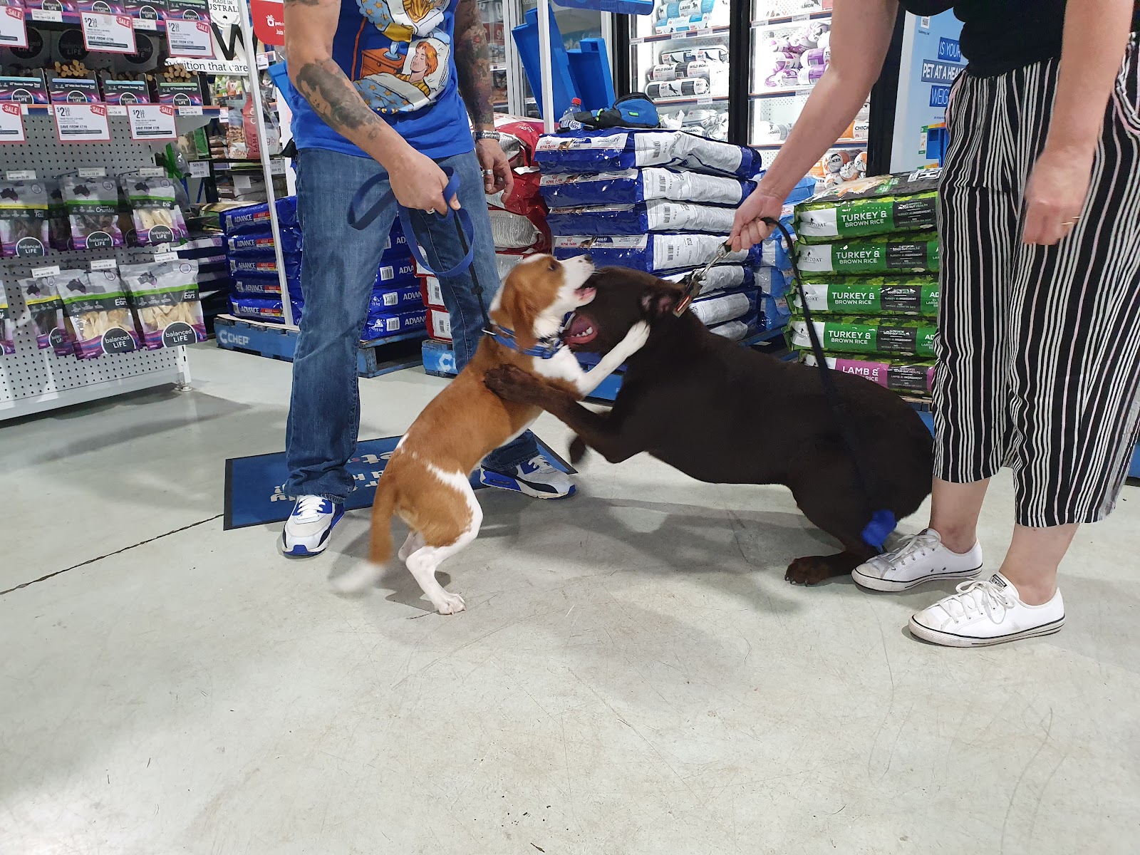 Petstock Ballina