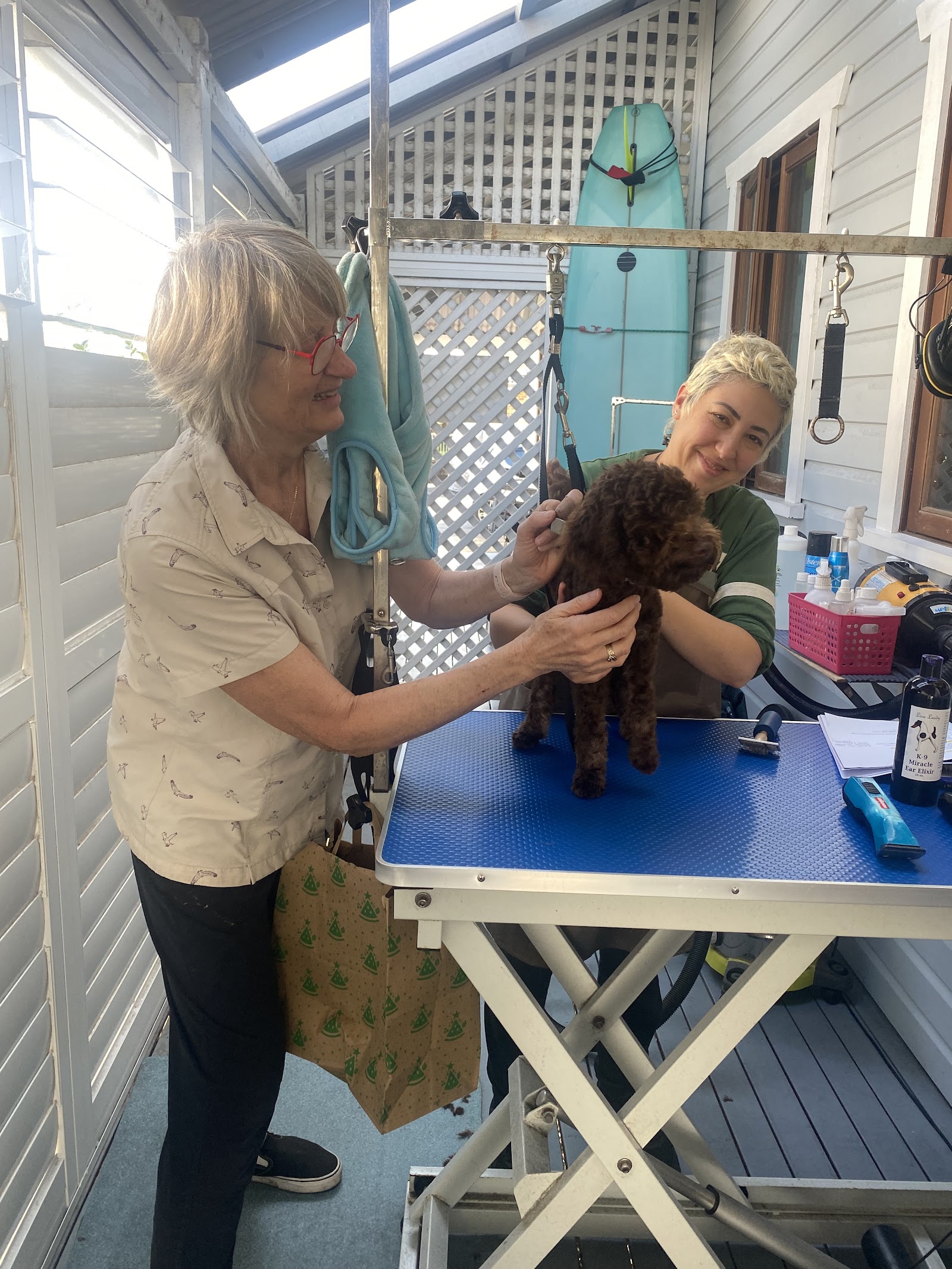 Canine Cuts ‘learn to groom your own dog’ Workshops — Pet Groomers