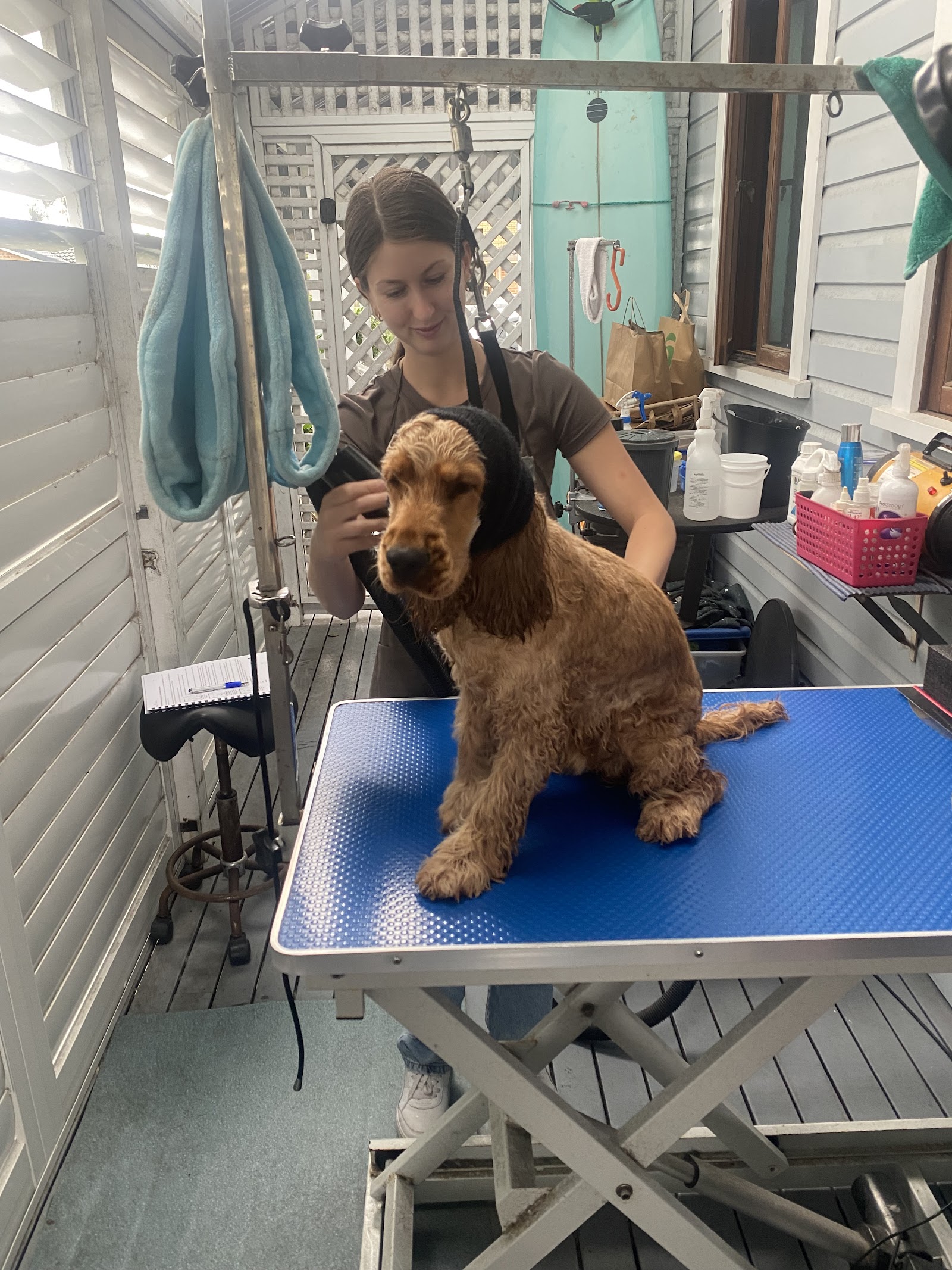 Canine Cuts ‘learn to groom your own dog’ Workshops