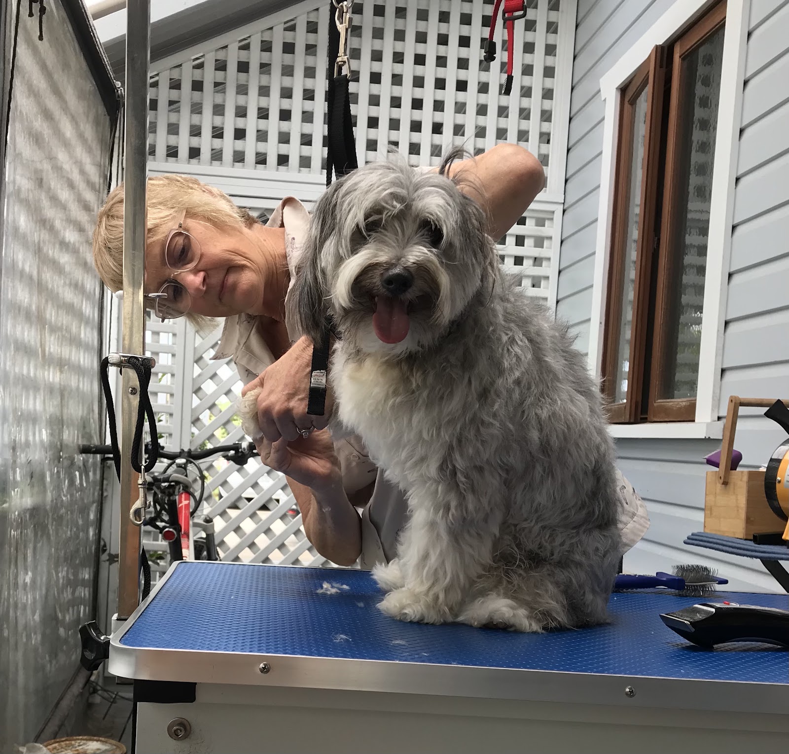 Canine Cuts ‘learn to groom your own dog’ Workshops