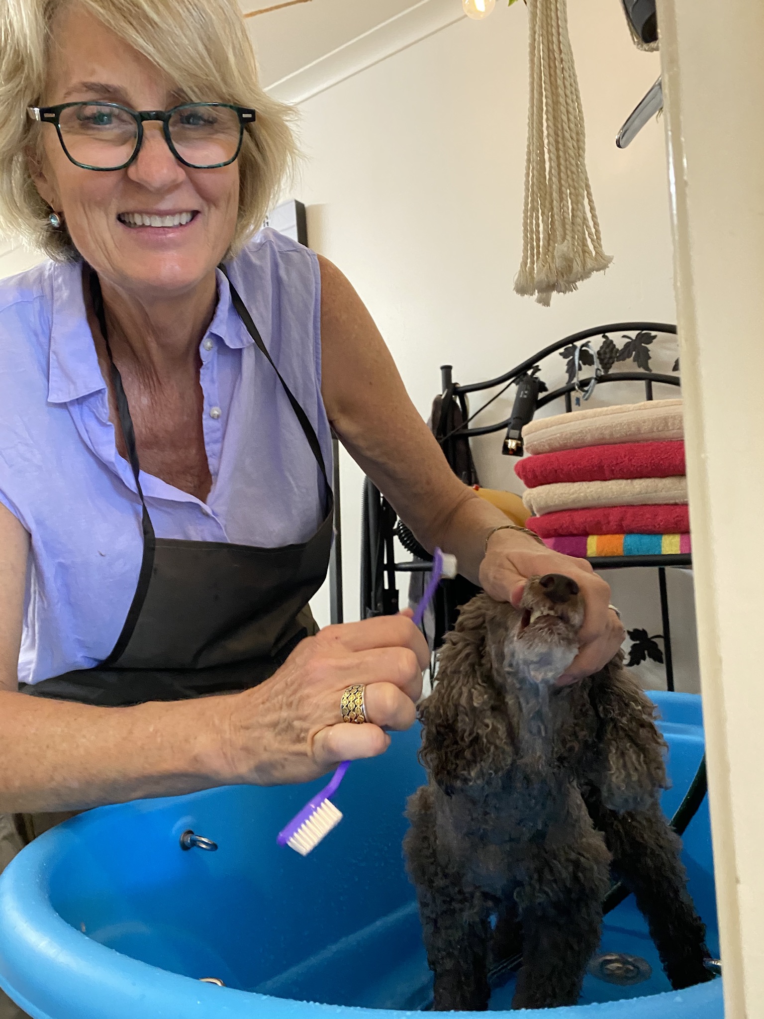 Canine Cuts ‘learn to groom your own dog’ Workshops
