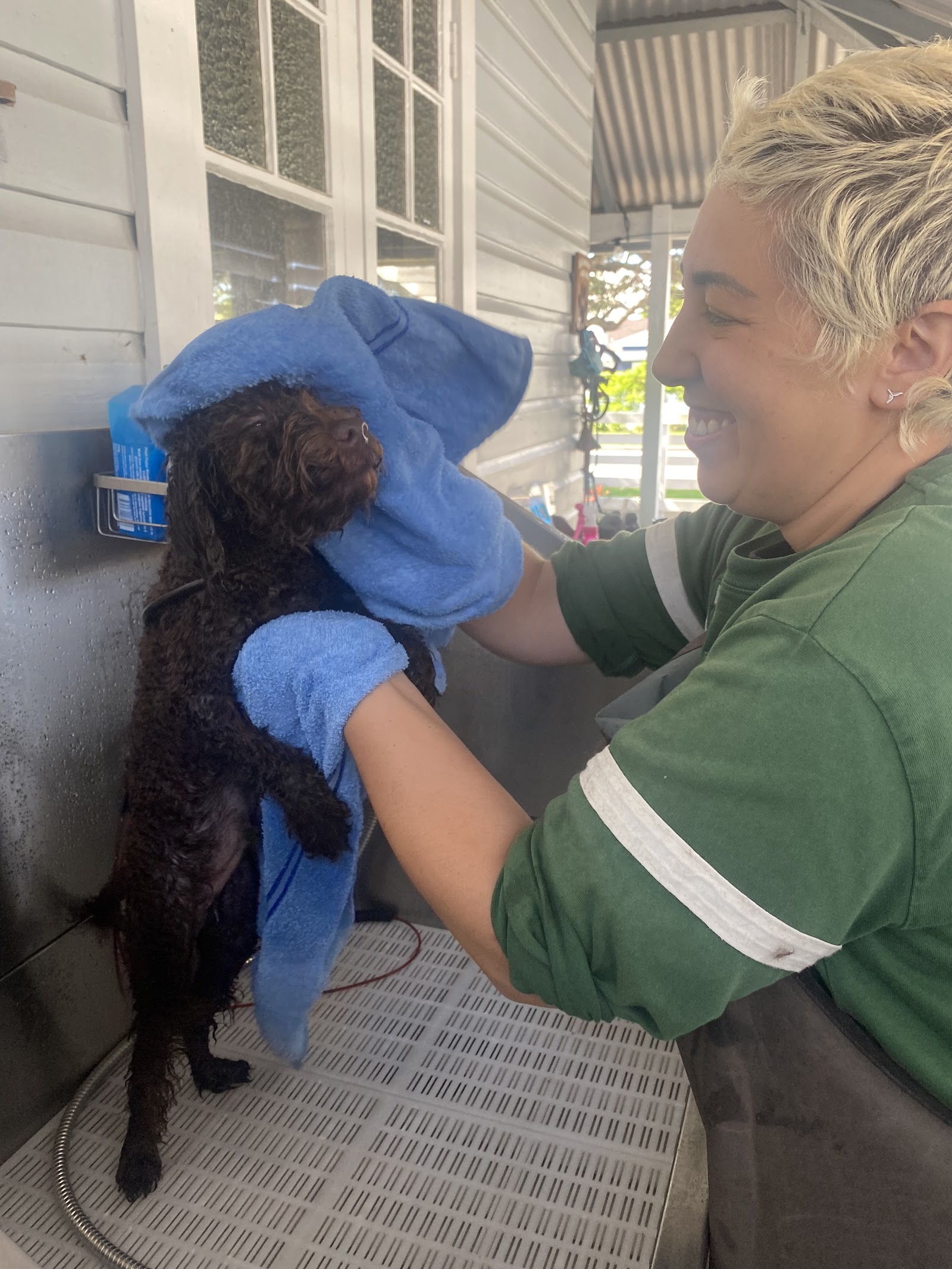 Canine Cuts ‘learn to groom your own dog’ Workshops