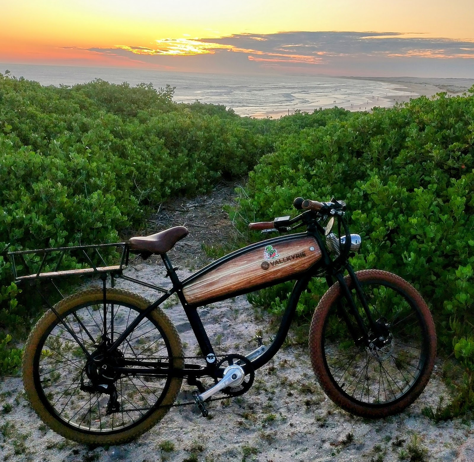 Vallkree Electric Bikes