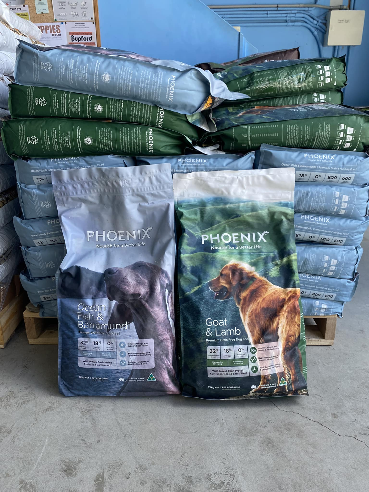 Petcare Byron Bay