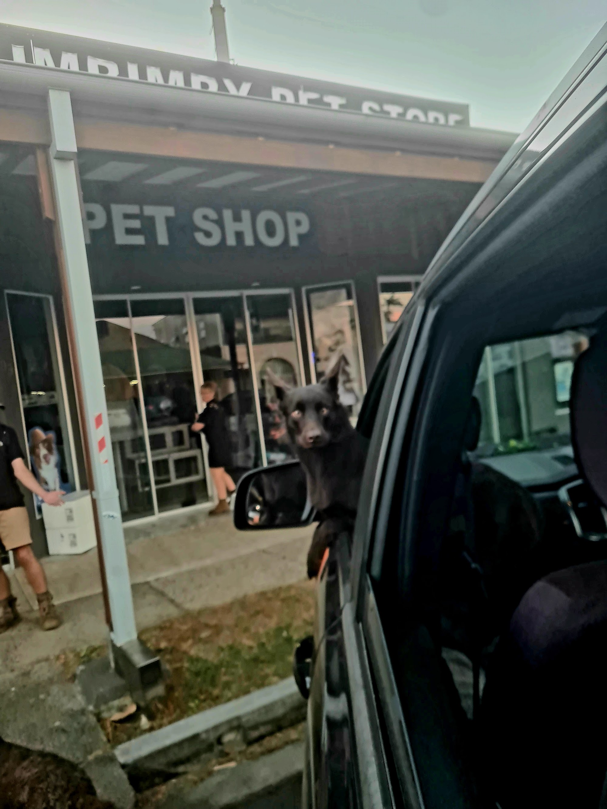 Mullumbimby Pet Shop — Pet Groomers
