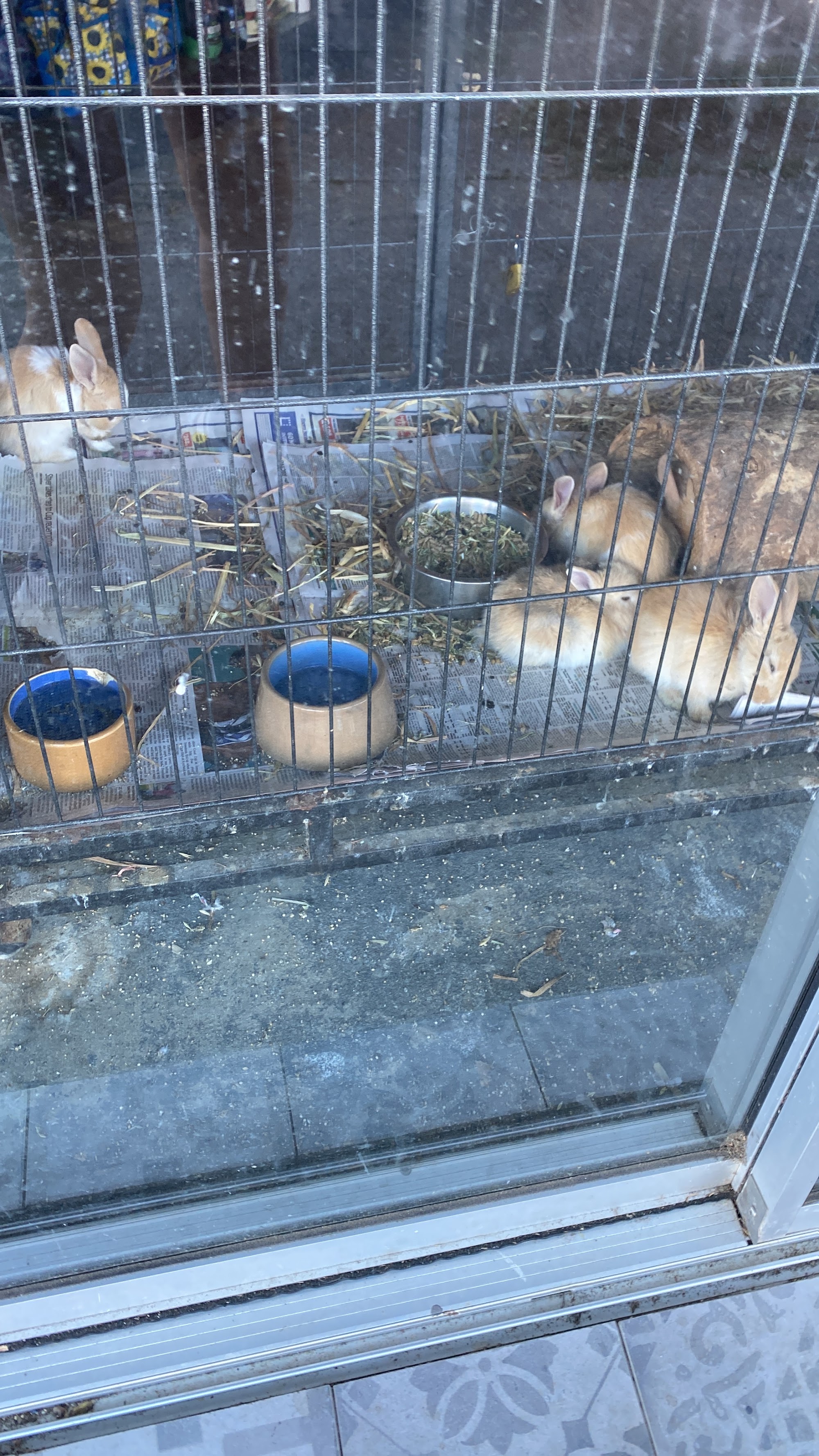 Mullumbimby Pet Shop
