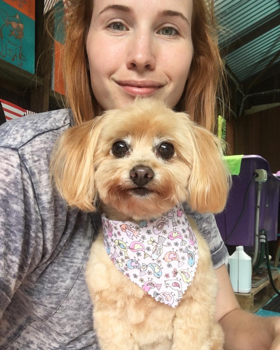 The Salty Dog Grooming Shop — Pet Groomers