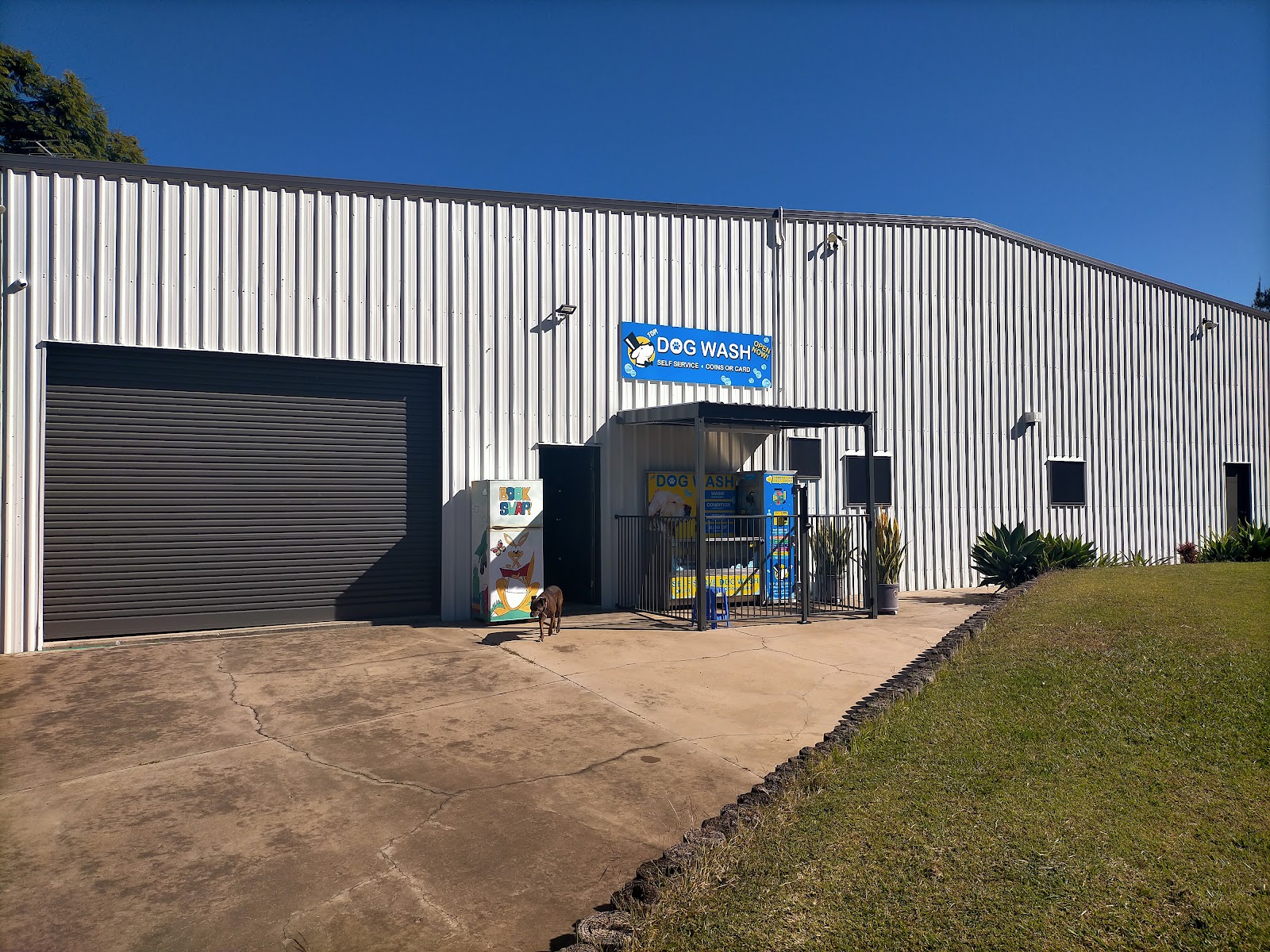 Top Dog wash