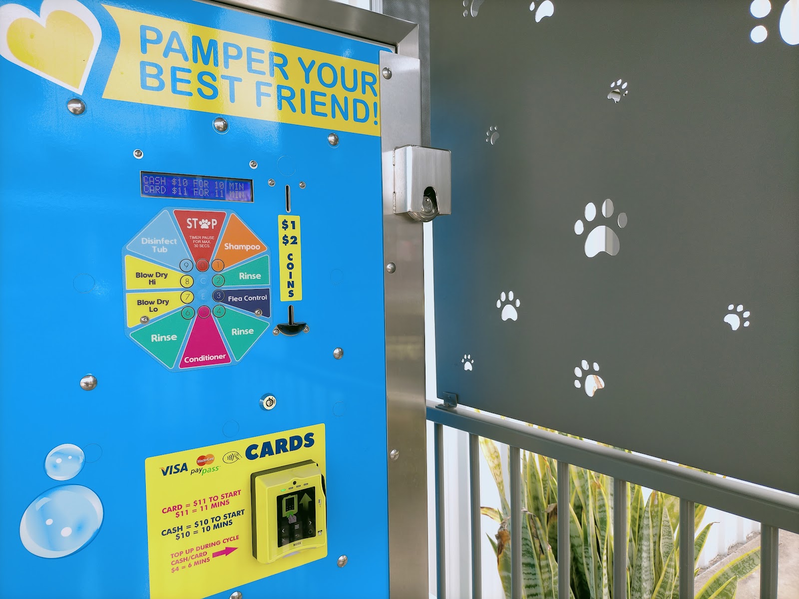 Top Dog wash