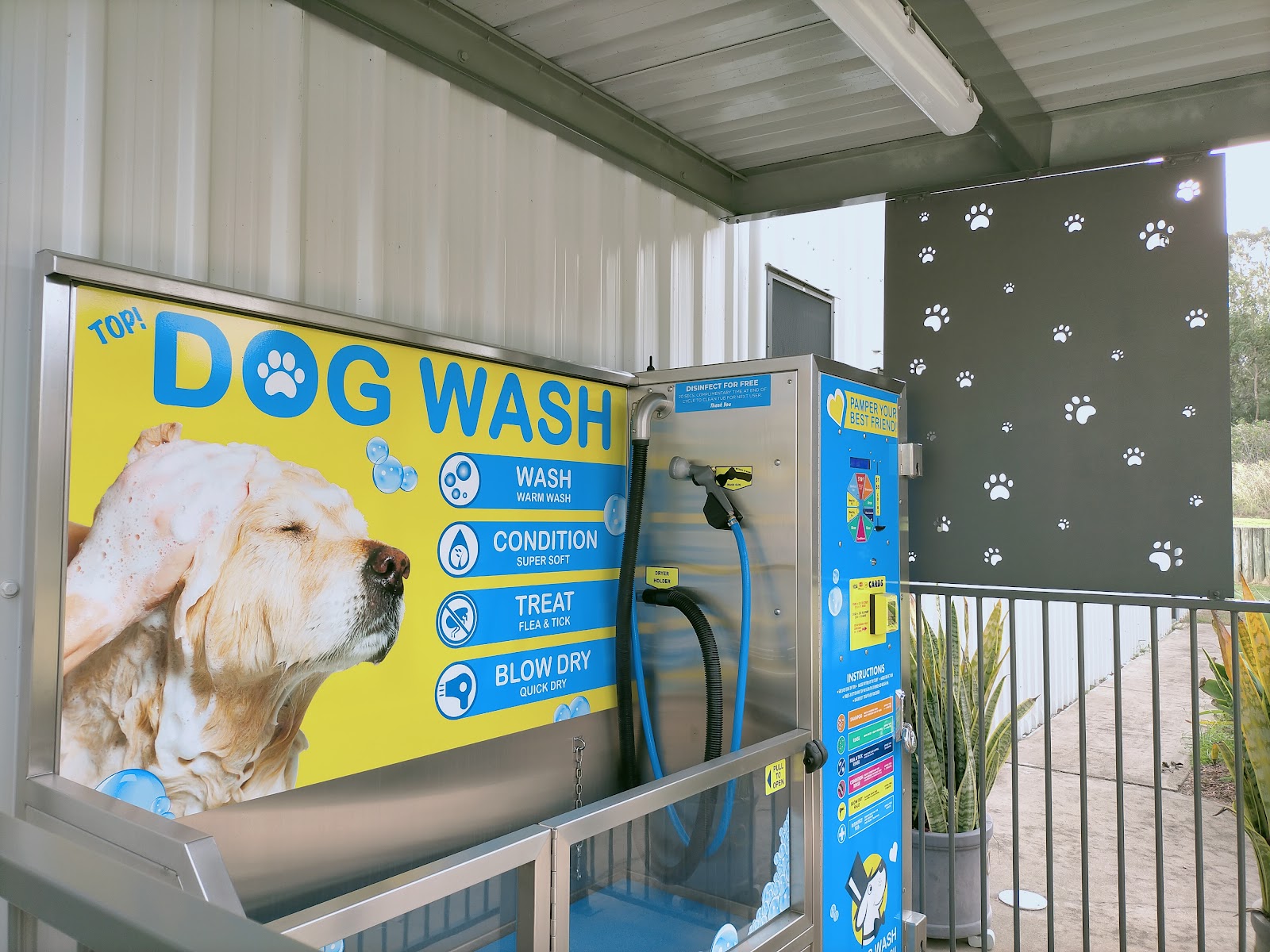 Top Dog wash
