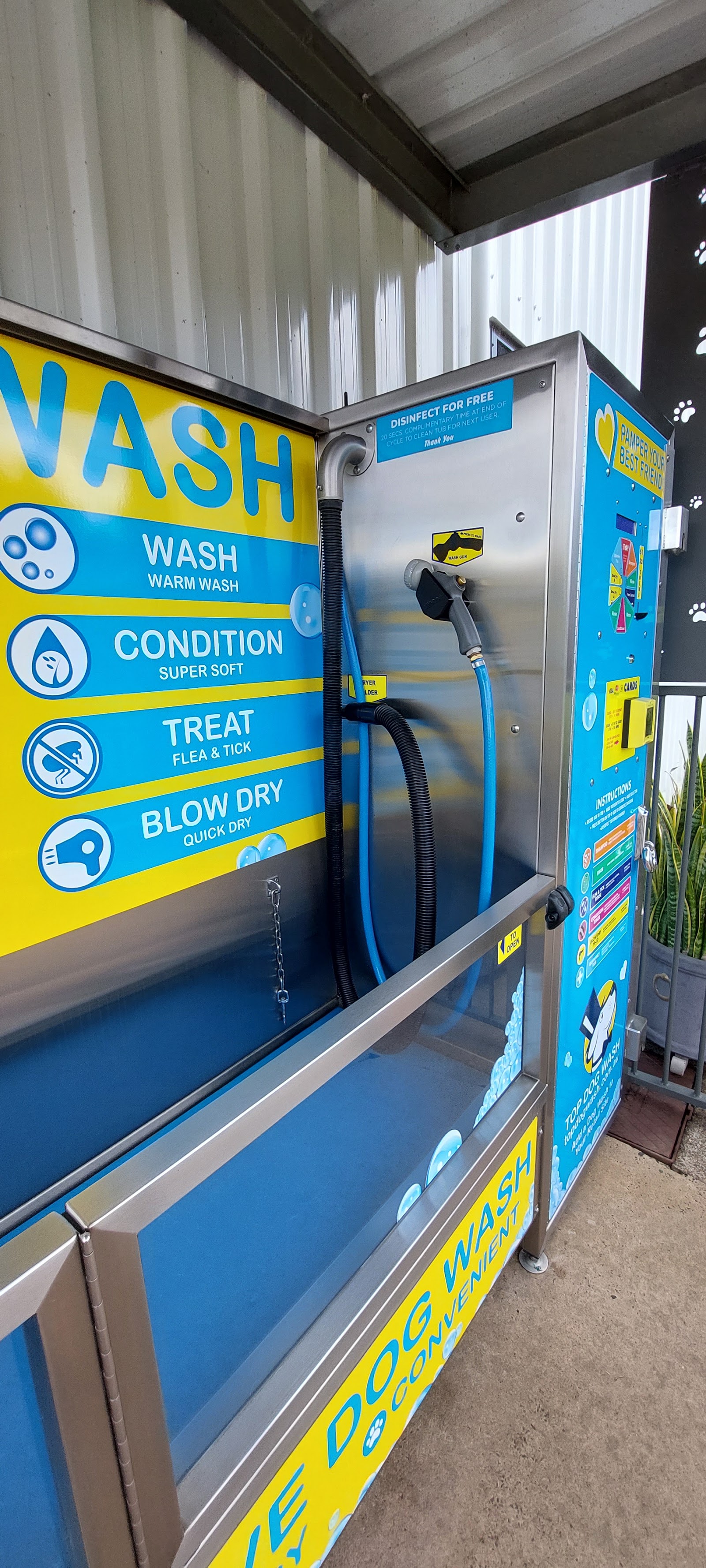 Top Dog wash