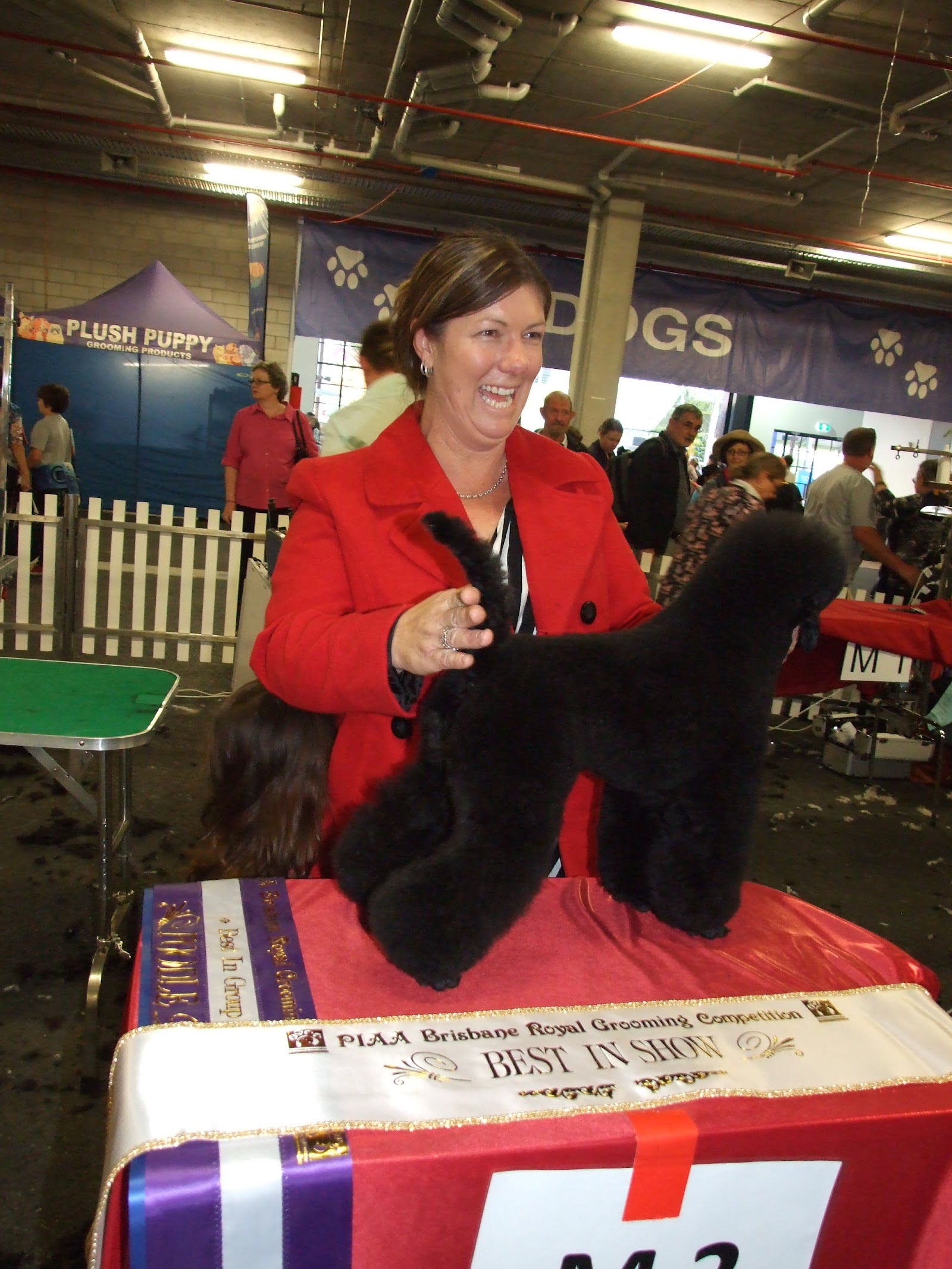 Country Canines Grooming & Clipping Salon