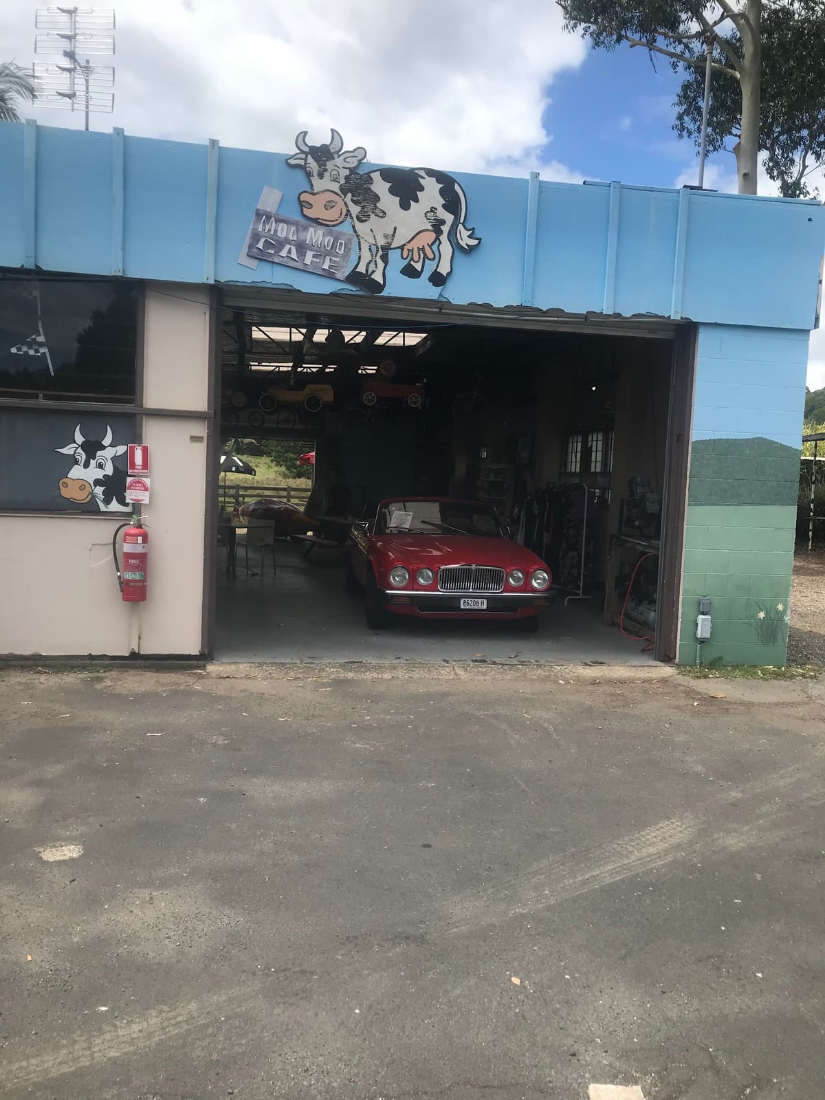 Moo Moo Roadhouse