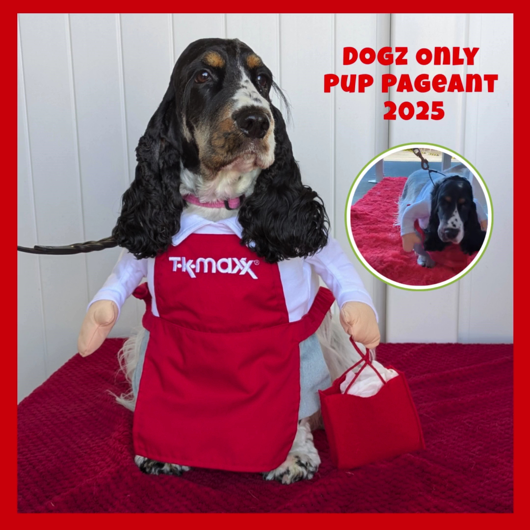 Dogz Only Doggy Daycare, Training, Grooming & Dog Retail Supplies