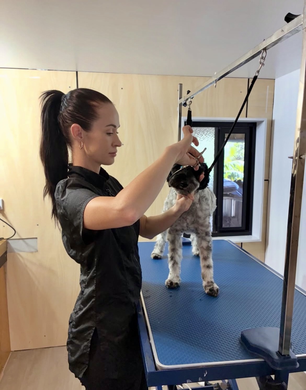 Panorama Groom Room — Pet Groomers
