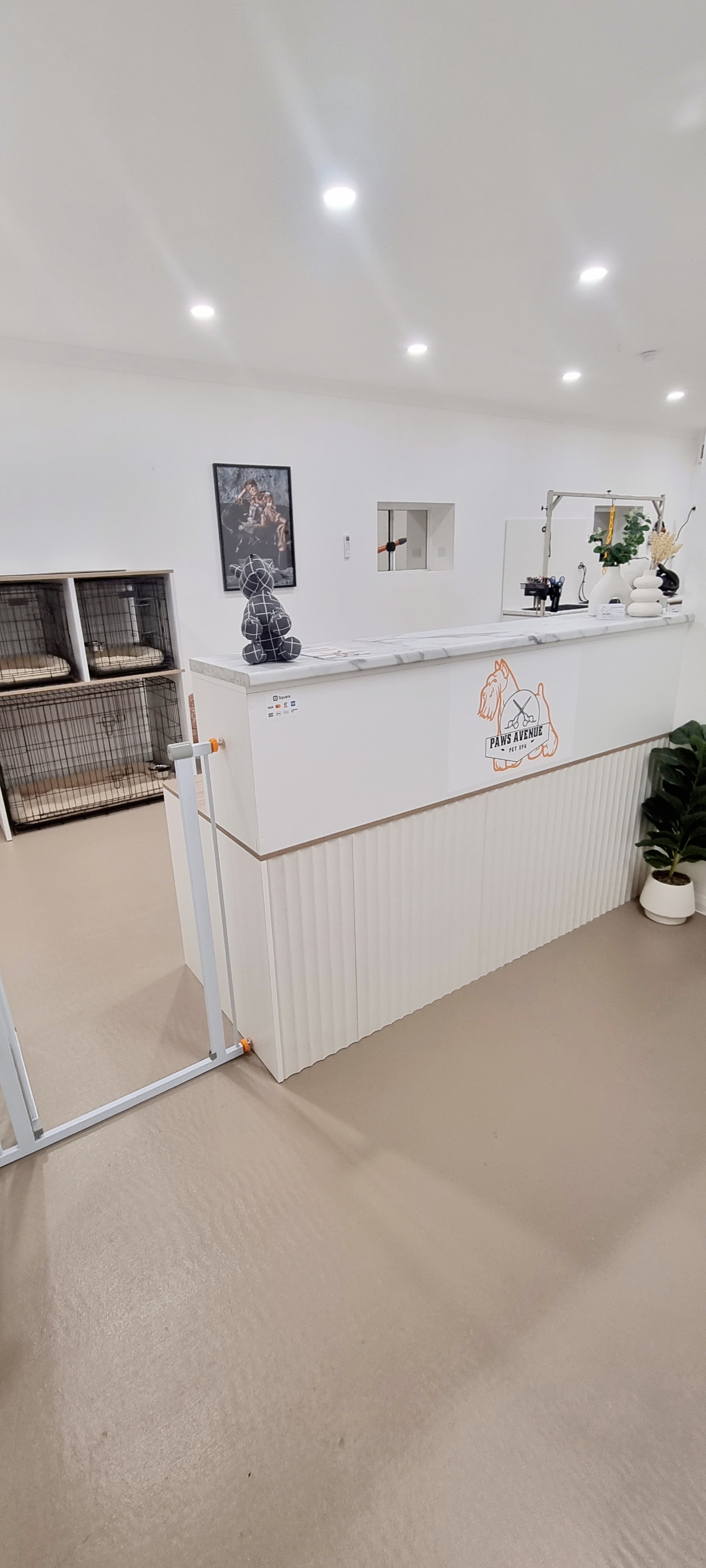 Paws Avenue Pet spa — Pet Groomers