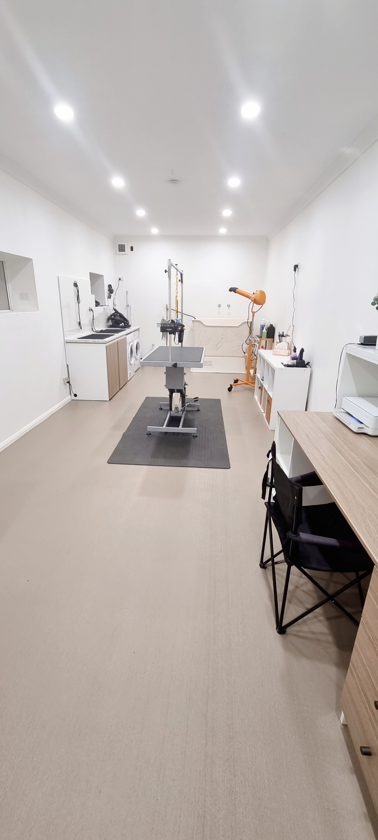Paws Avenue Pet spa