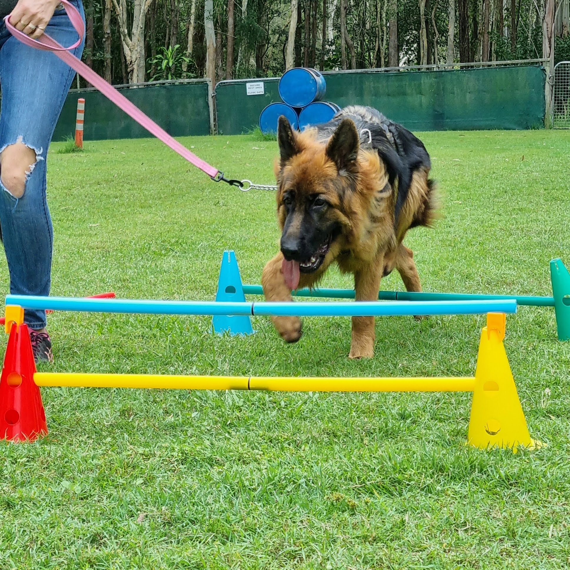 Pawsible Solutions Pet Services