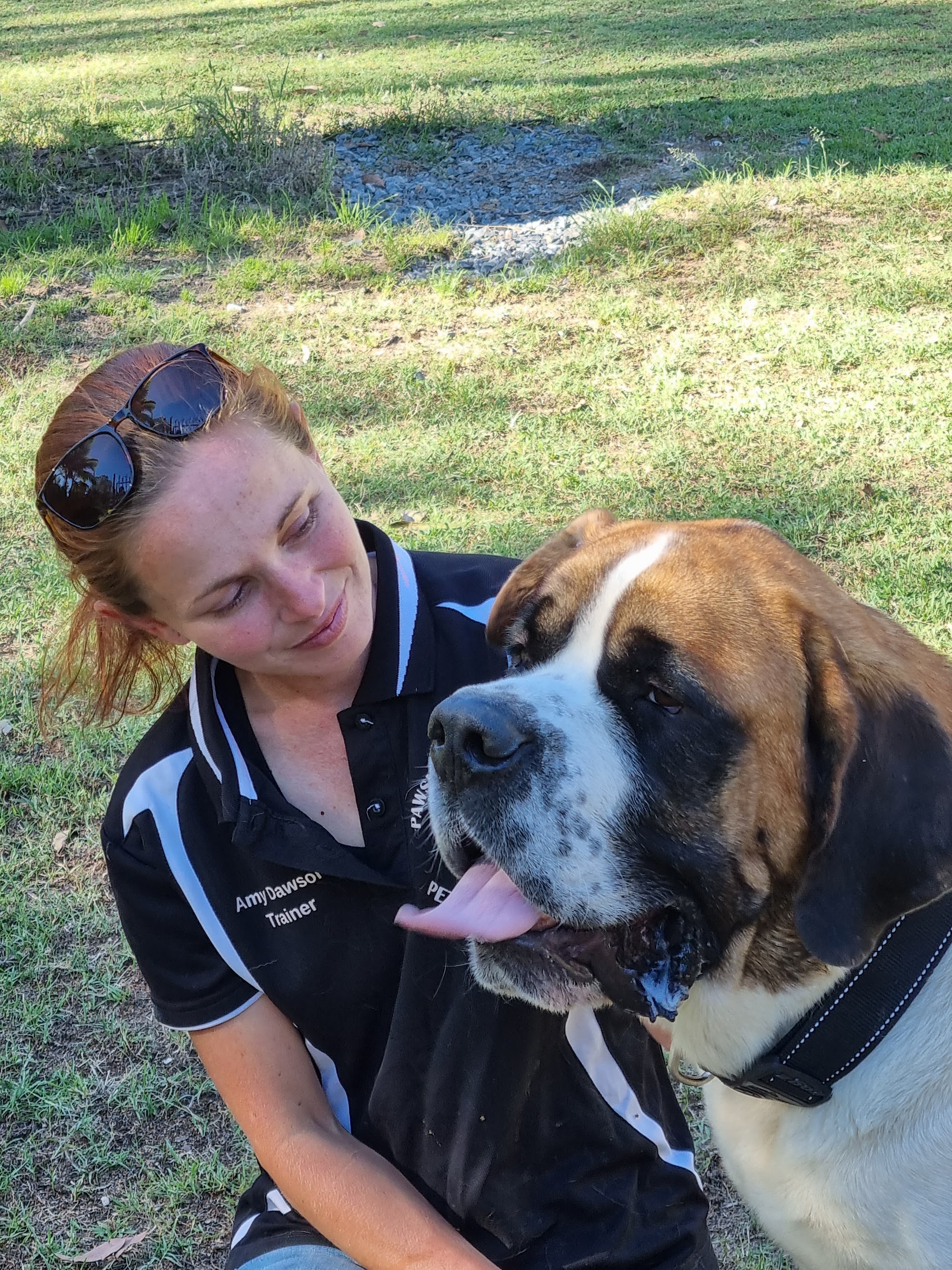 Pawsible Solutions Pet Services