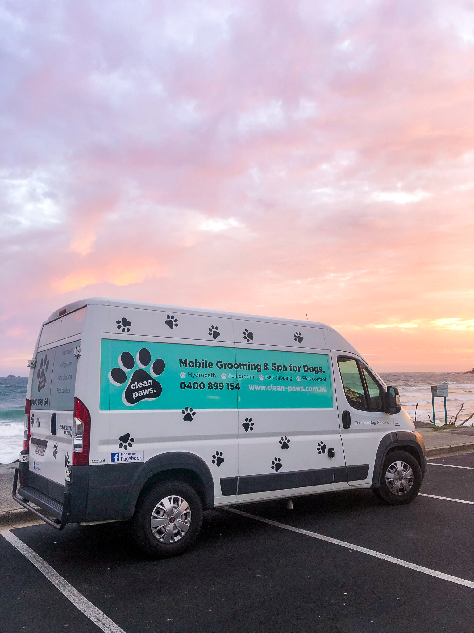 Clean Paws Byron Bay