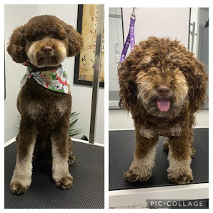 Pawfect Grooms