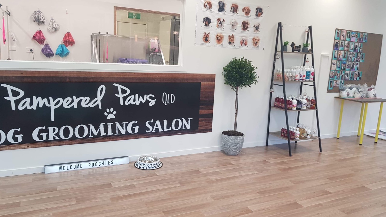 Pampered Paws