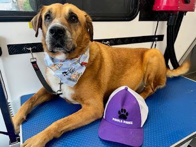 Paulz Pawz Mobile Dog Hydrobath & Grooming