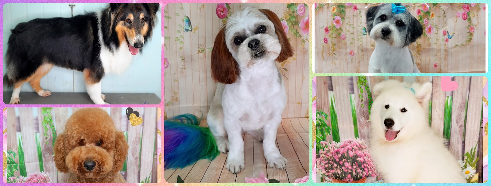 Pet Perfection — Pet Groomers