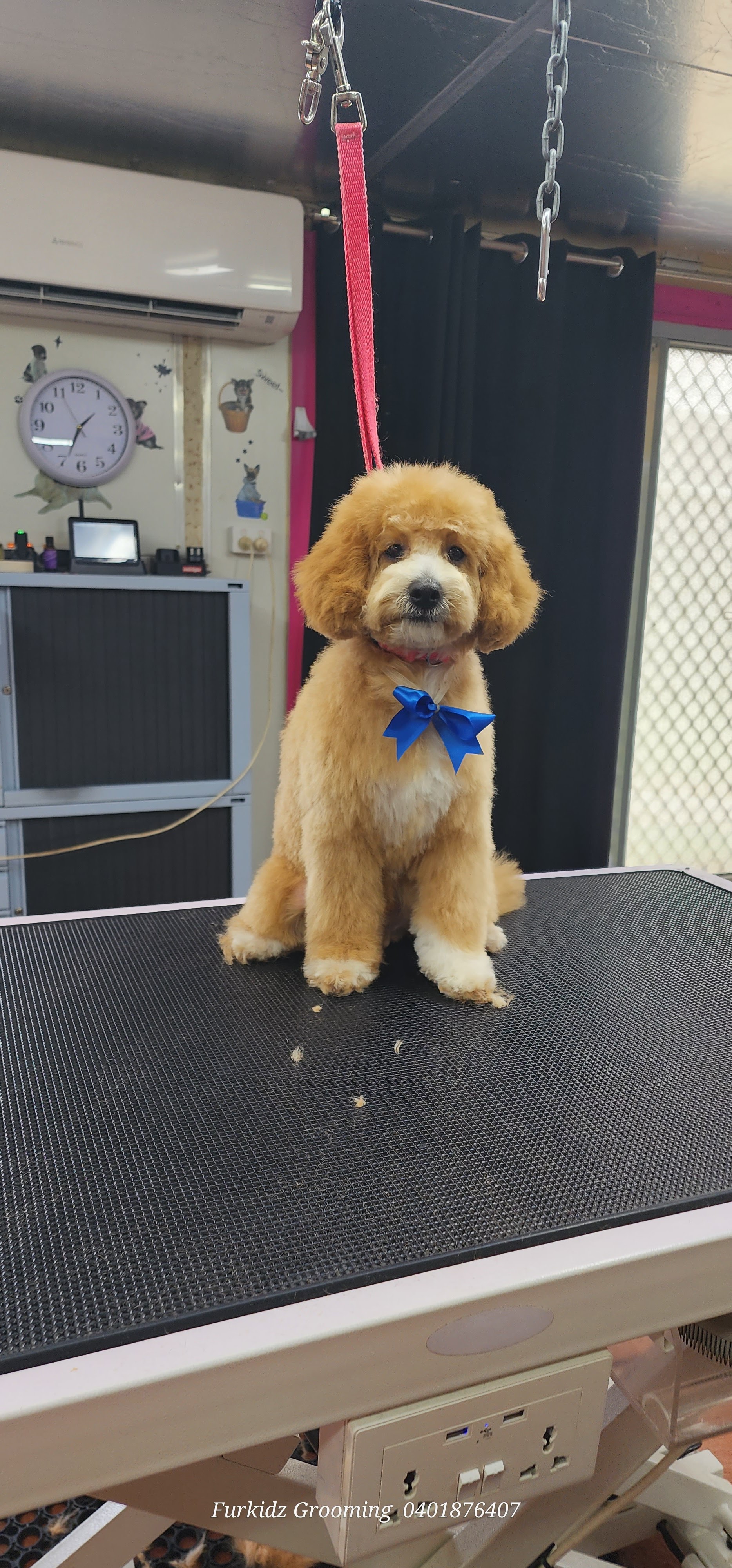 Furkidz Grooming — Pet Groomers
