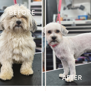 Furkidz Grooming