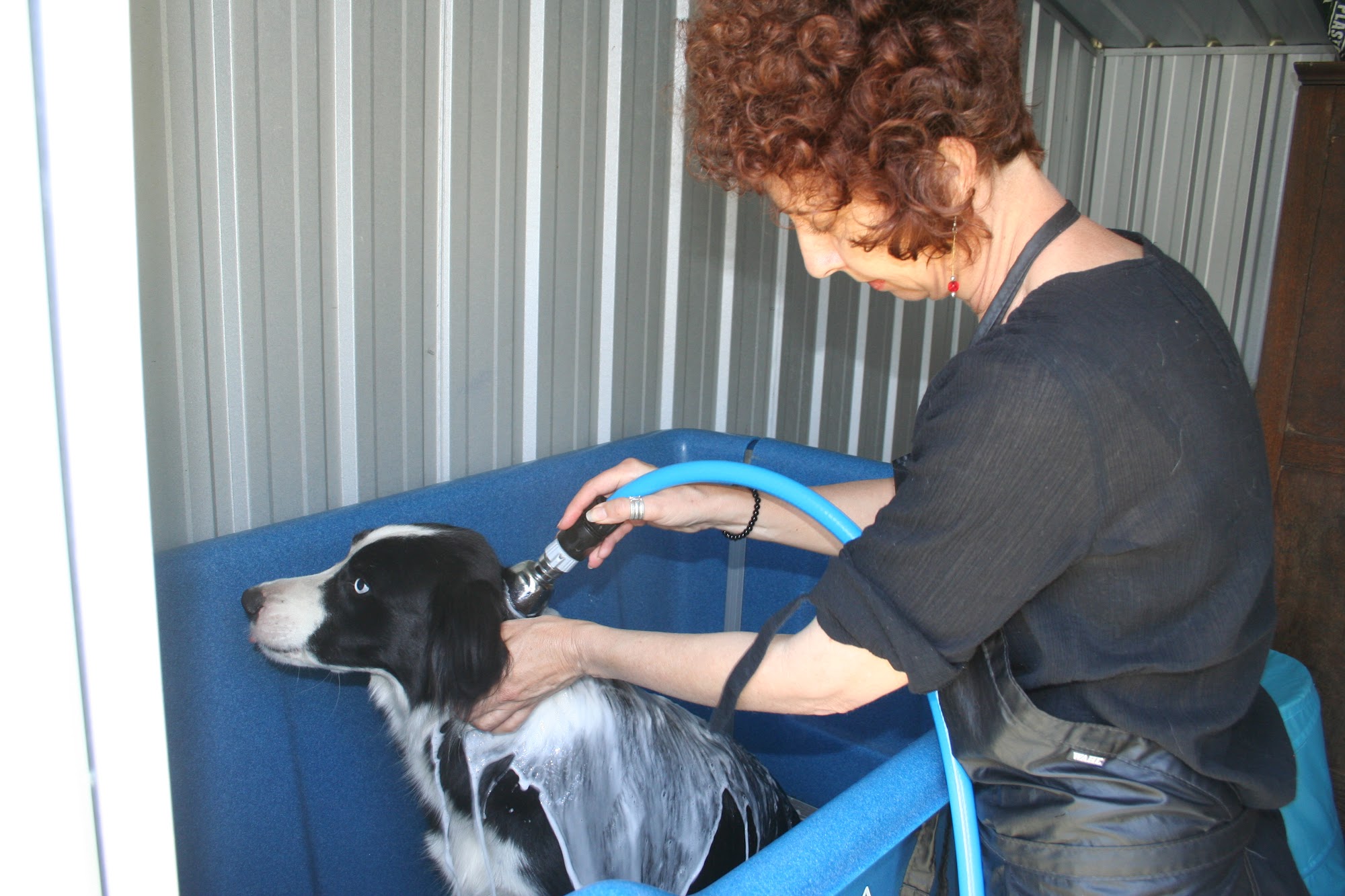 K9 Klips Dog Grooming Warwick