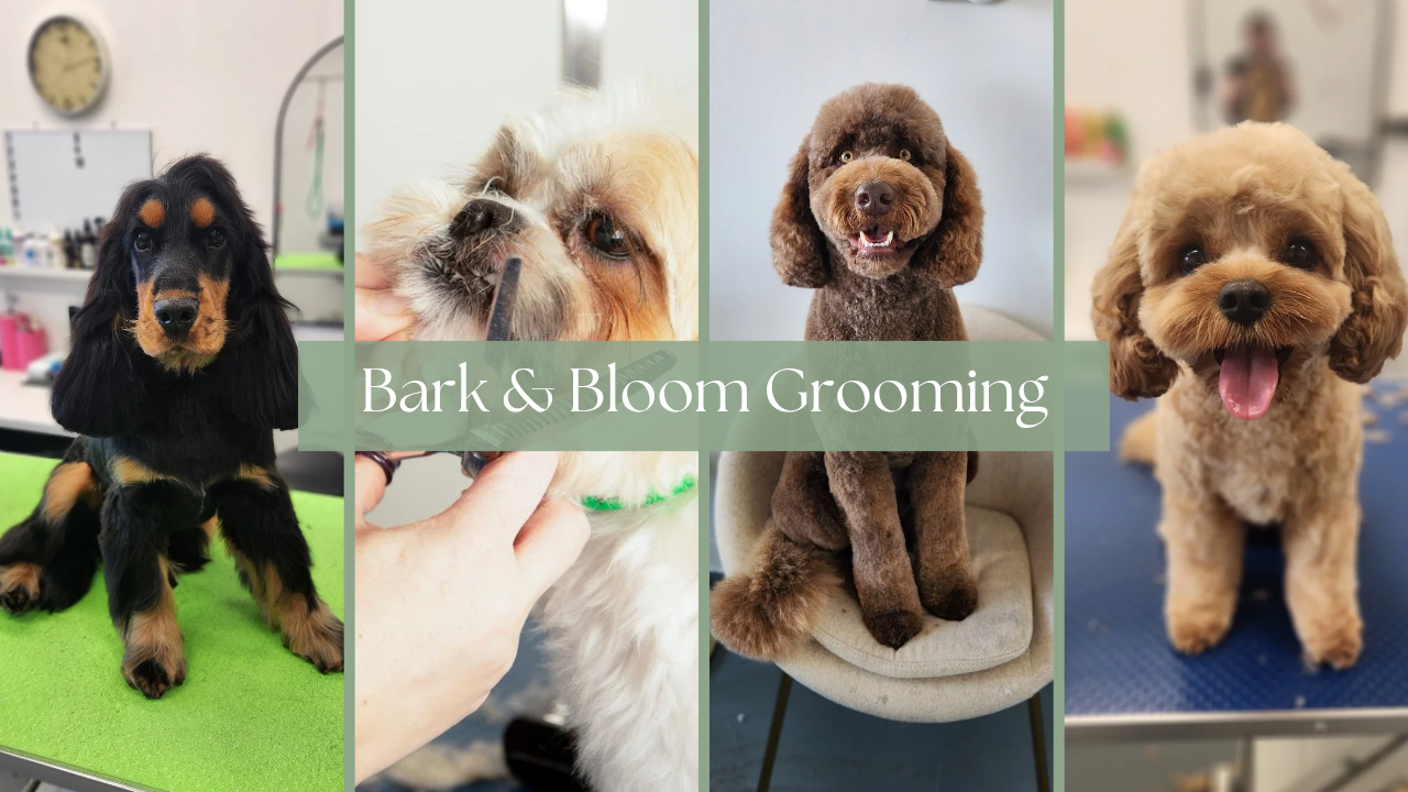 Bark & Bloom Grooming — Pet Groomers