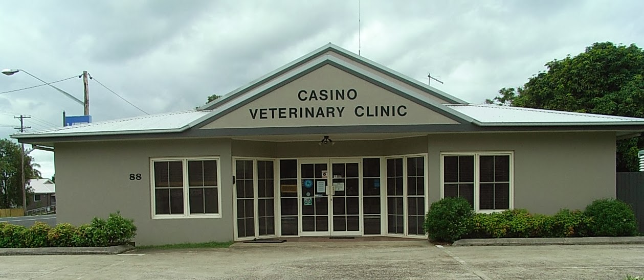 Casino Veterinary Clinic — Pet Groomers