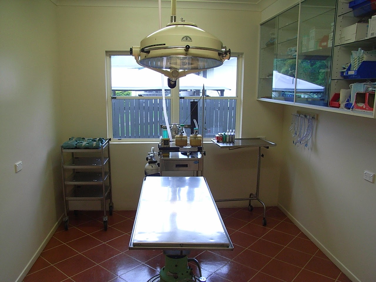 Casino Veterinary Clinic