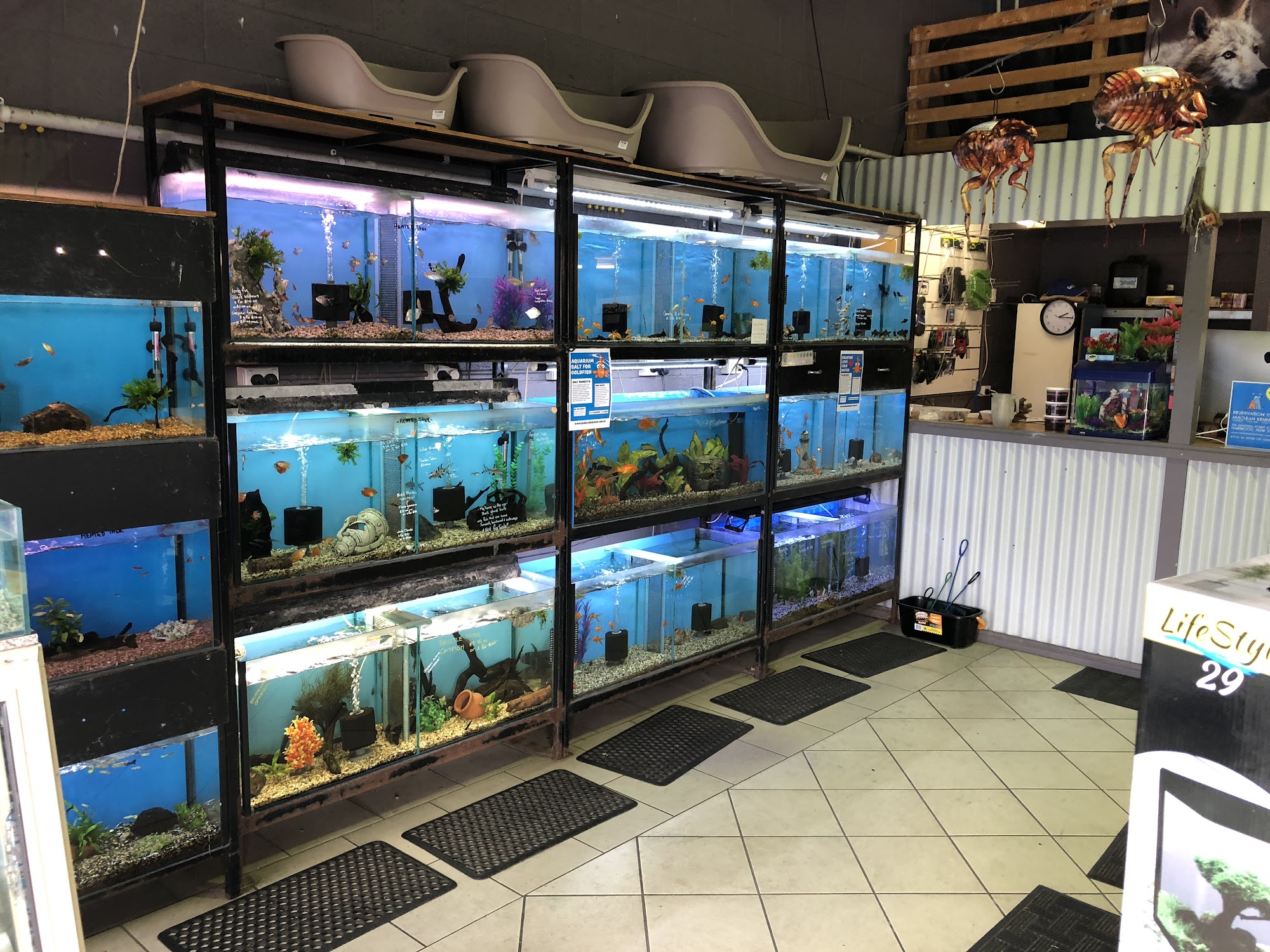 Bubble & Squeak Pet Shop