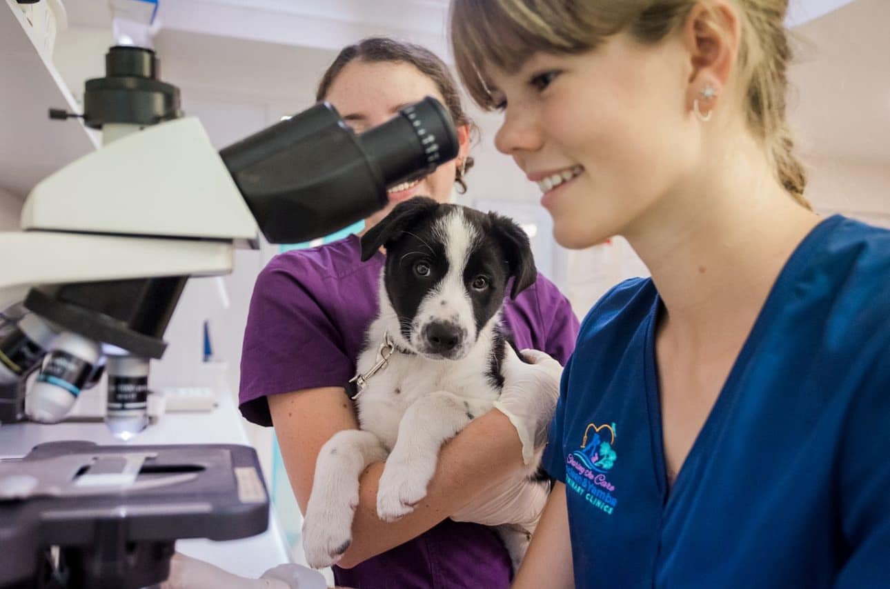 Yamba Veterinary Clinic