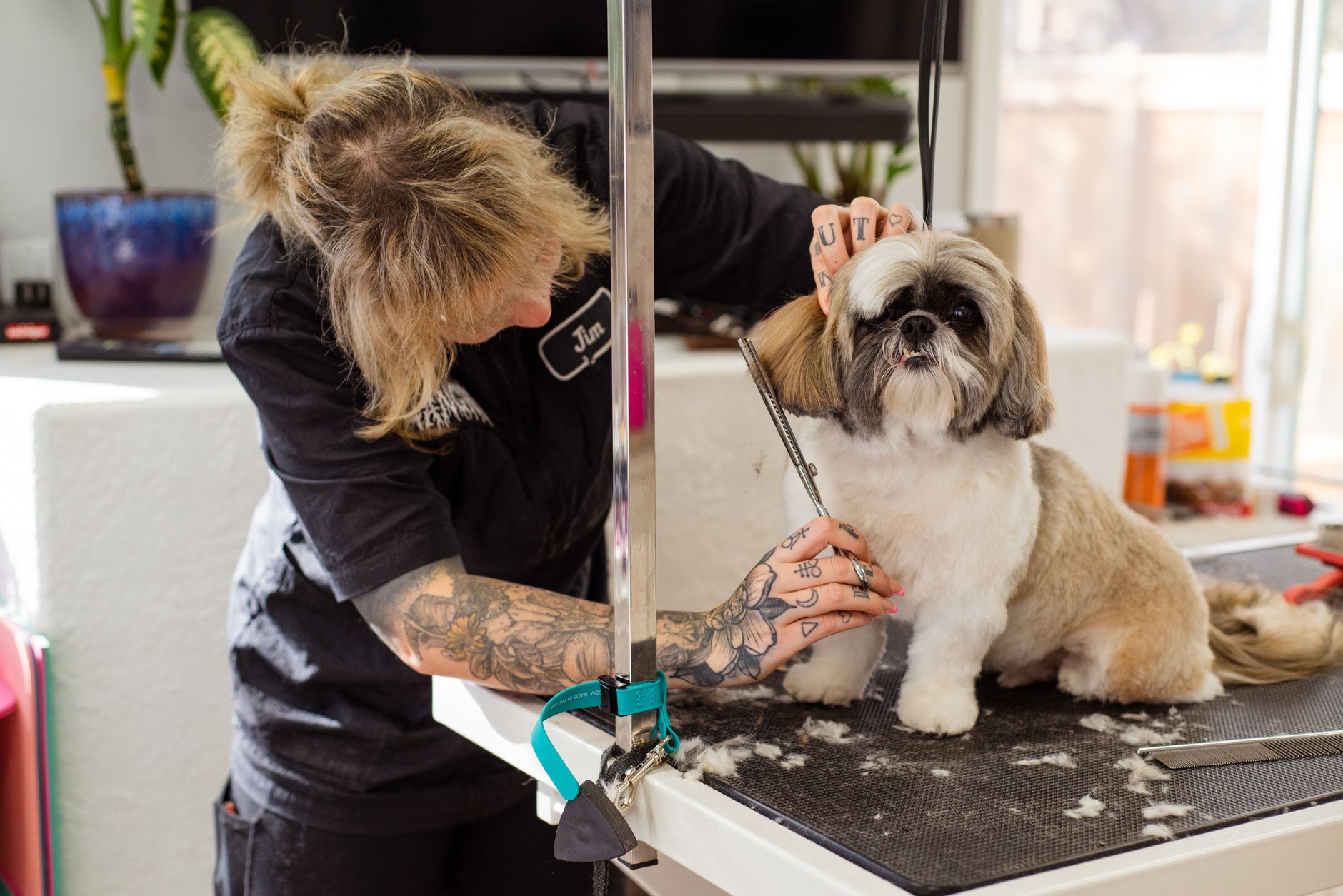 Clarence Valley Veterinary Clinic
