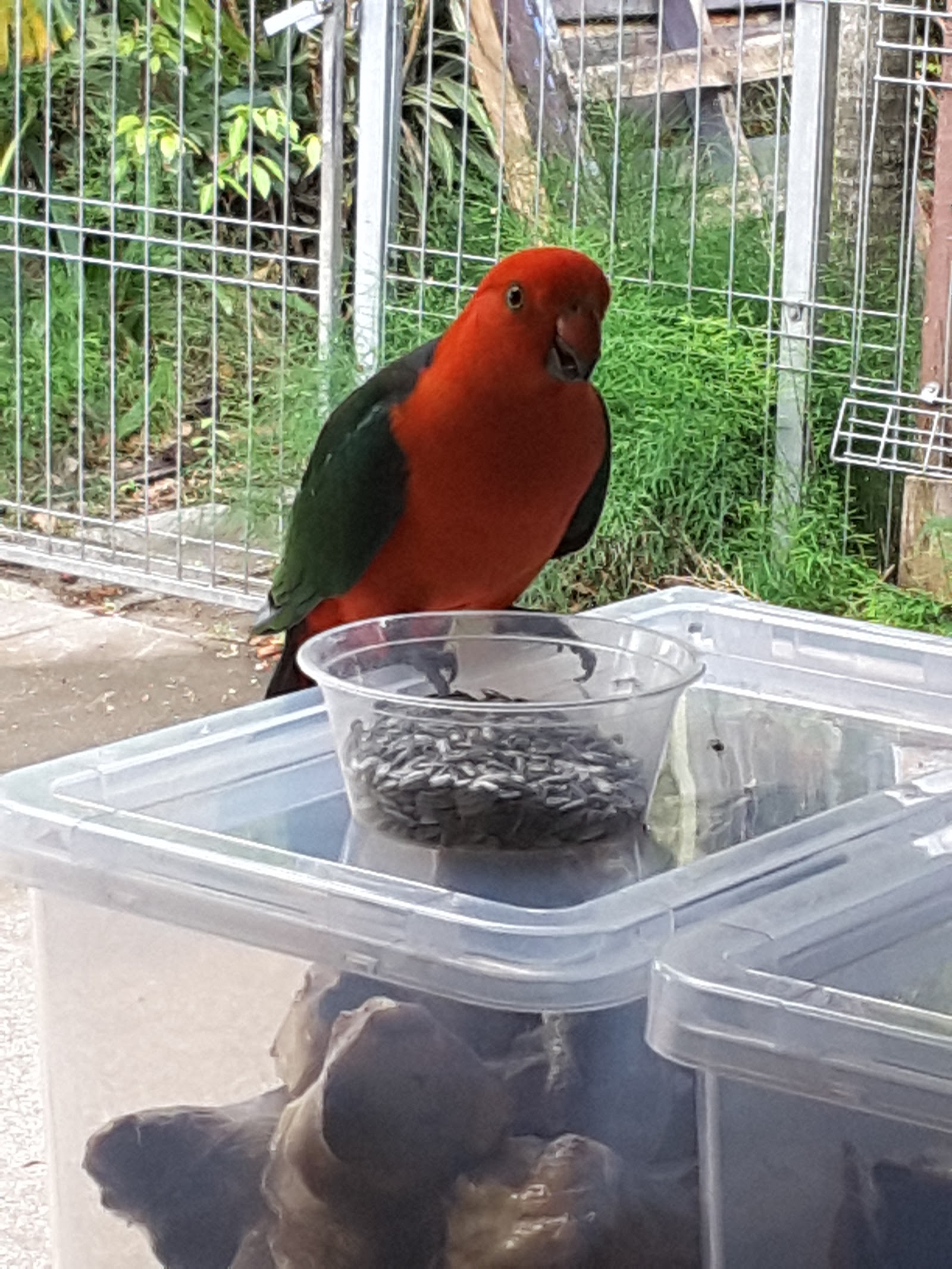 Craig's Birdplace